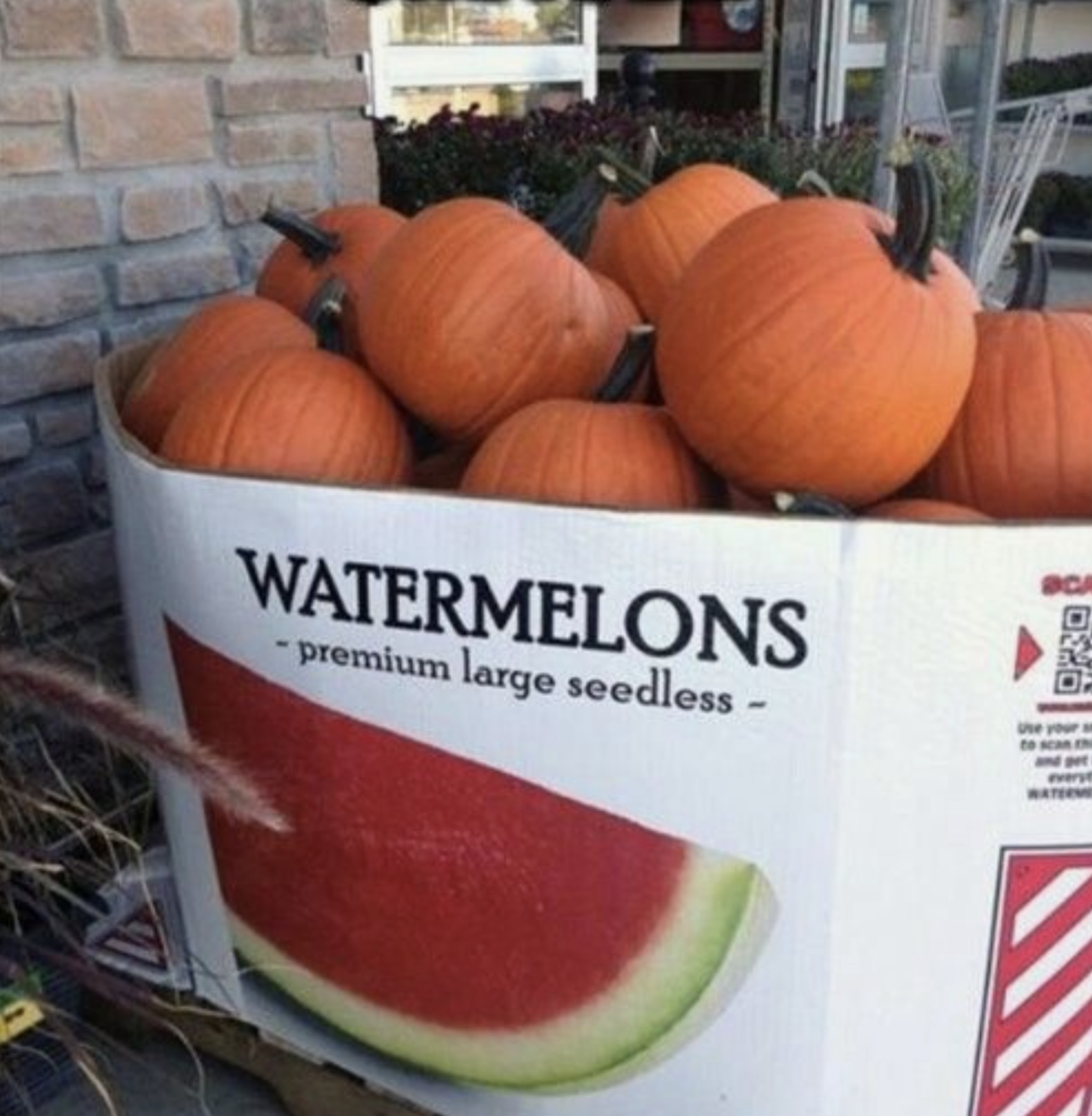 you had one job food meme - Watermelons premium large seedless Sca Use your to scan th and get evers Wate