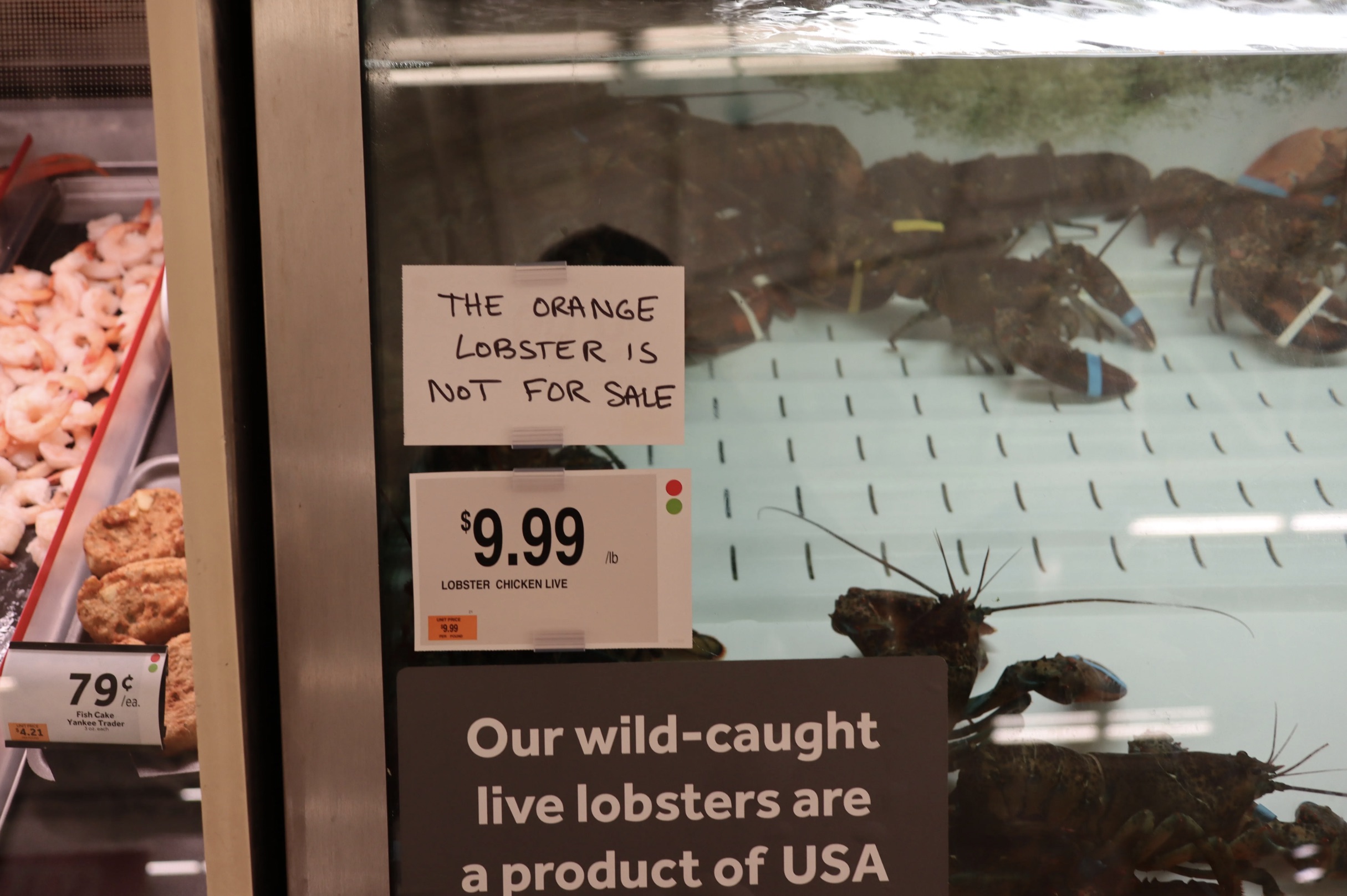 shrimp - 79% The Orange Lobster Is Not For Sale $9.99 Lobster Chicken Live Our wildcaught live lobsters are a product of Usa