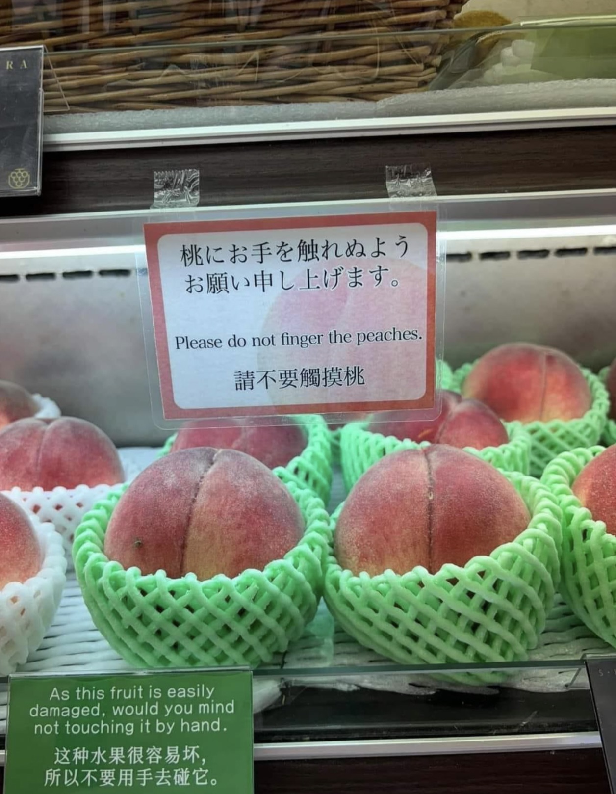 please do not finger the peaches - Ra Please do not finger the peaches. As this fruit is easily damaged, would you mind not touching it by hand. ,