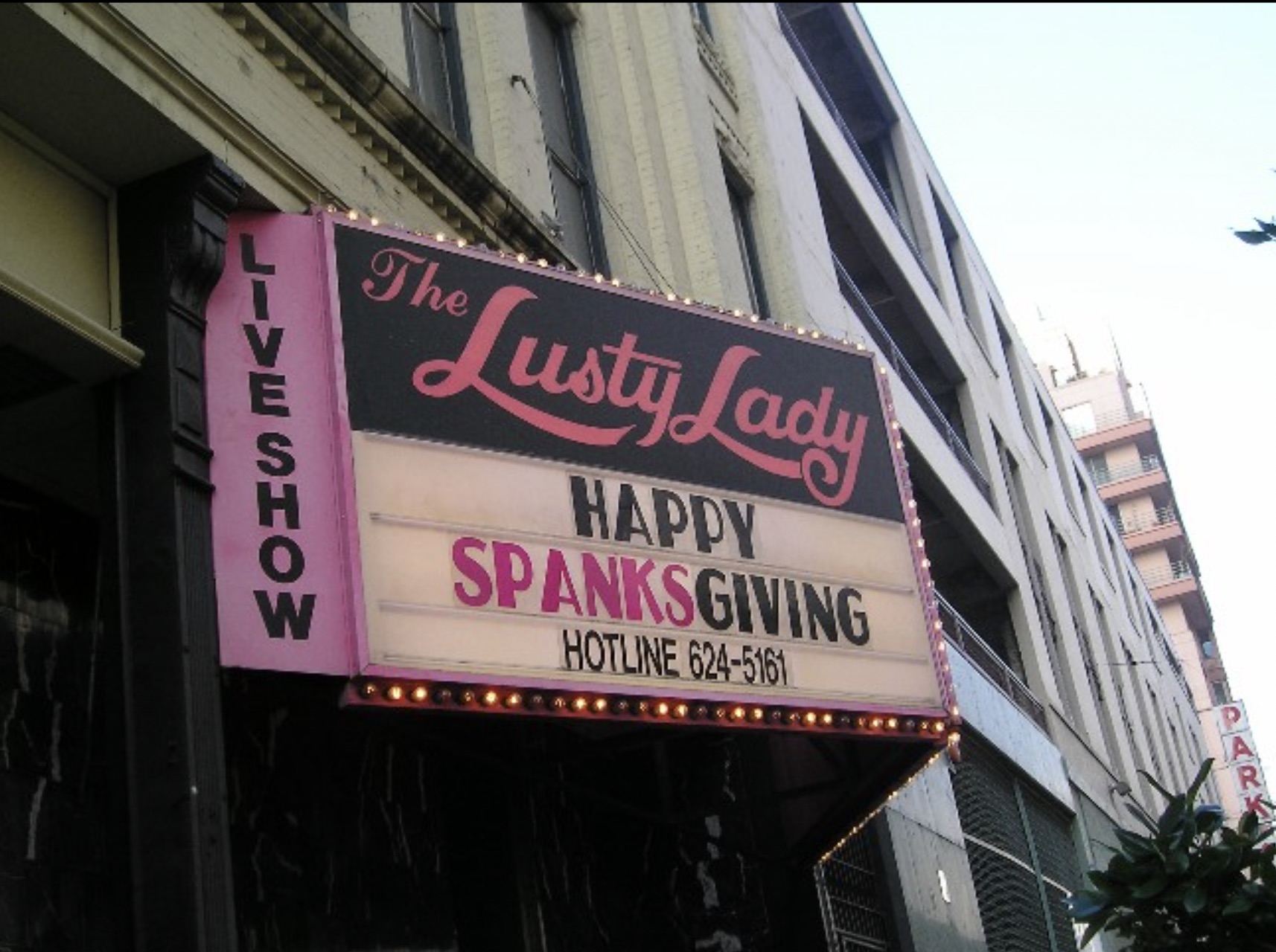 lusty lady seattle logo - J>Utor W The Lusty Lady Happy Spanksgiving Hotline 6245161