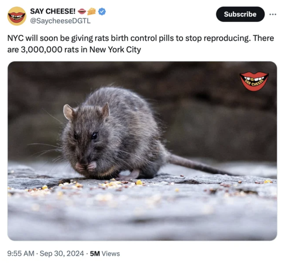 rat nyc - Say Cheese! Subscribe Nyc will soon be giving rats birth control pills to stop reproducing. There are 3,000,000 rats in New York City 5M Views