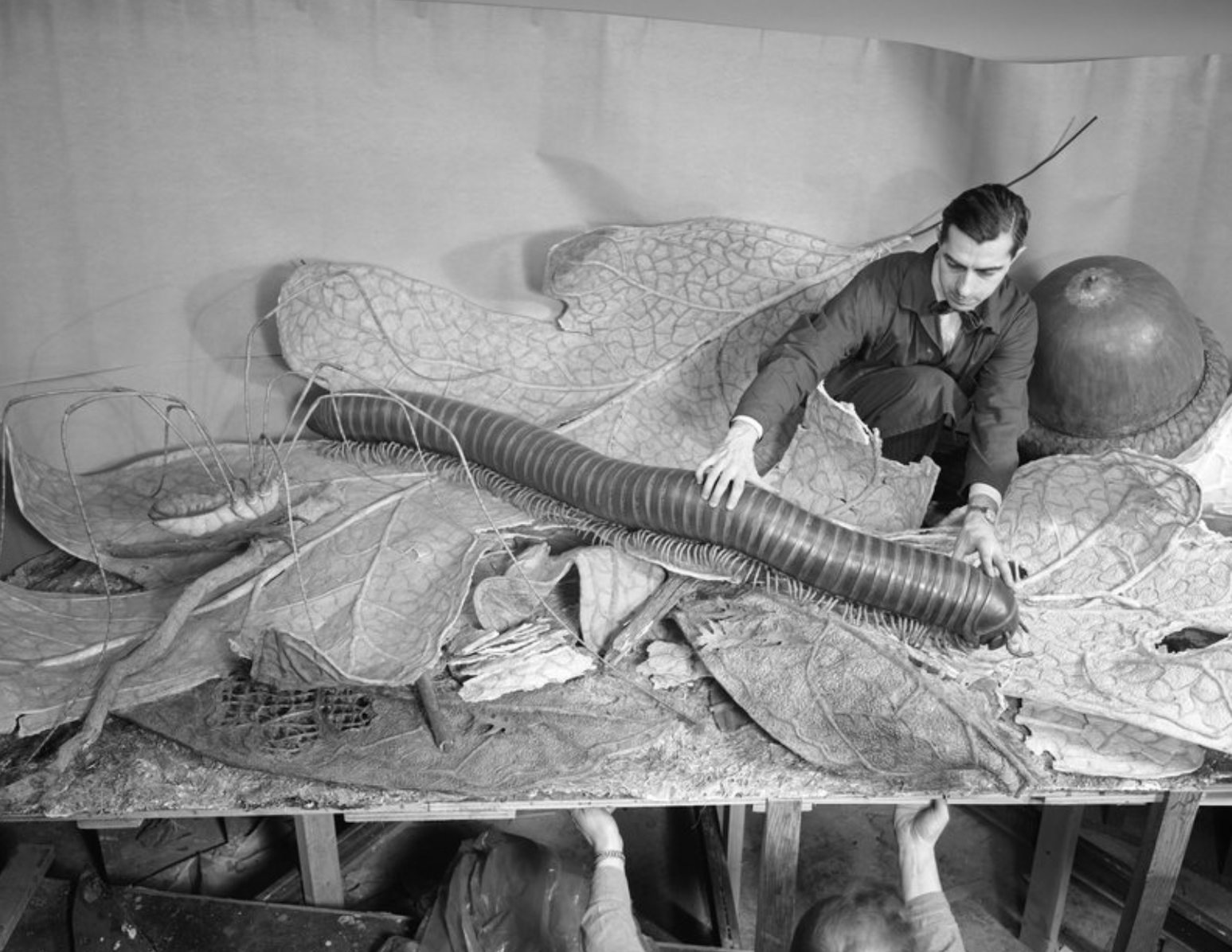 Installing the forest floor exhibit at the American Museum of Natural History, New York City, 1958.