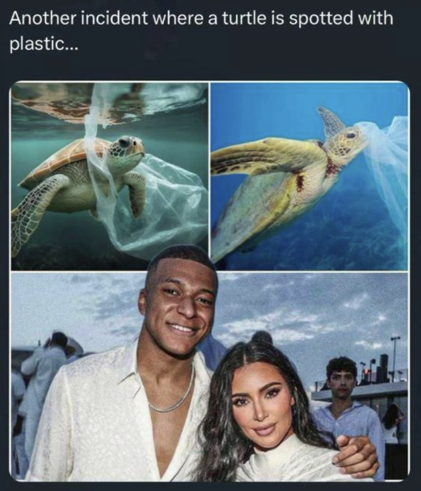 mbappe kim kardashian - Another incident where a turtle is spotted with plastic...