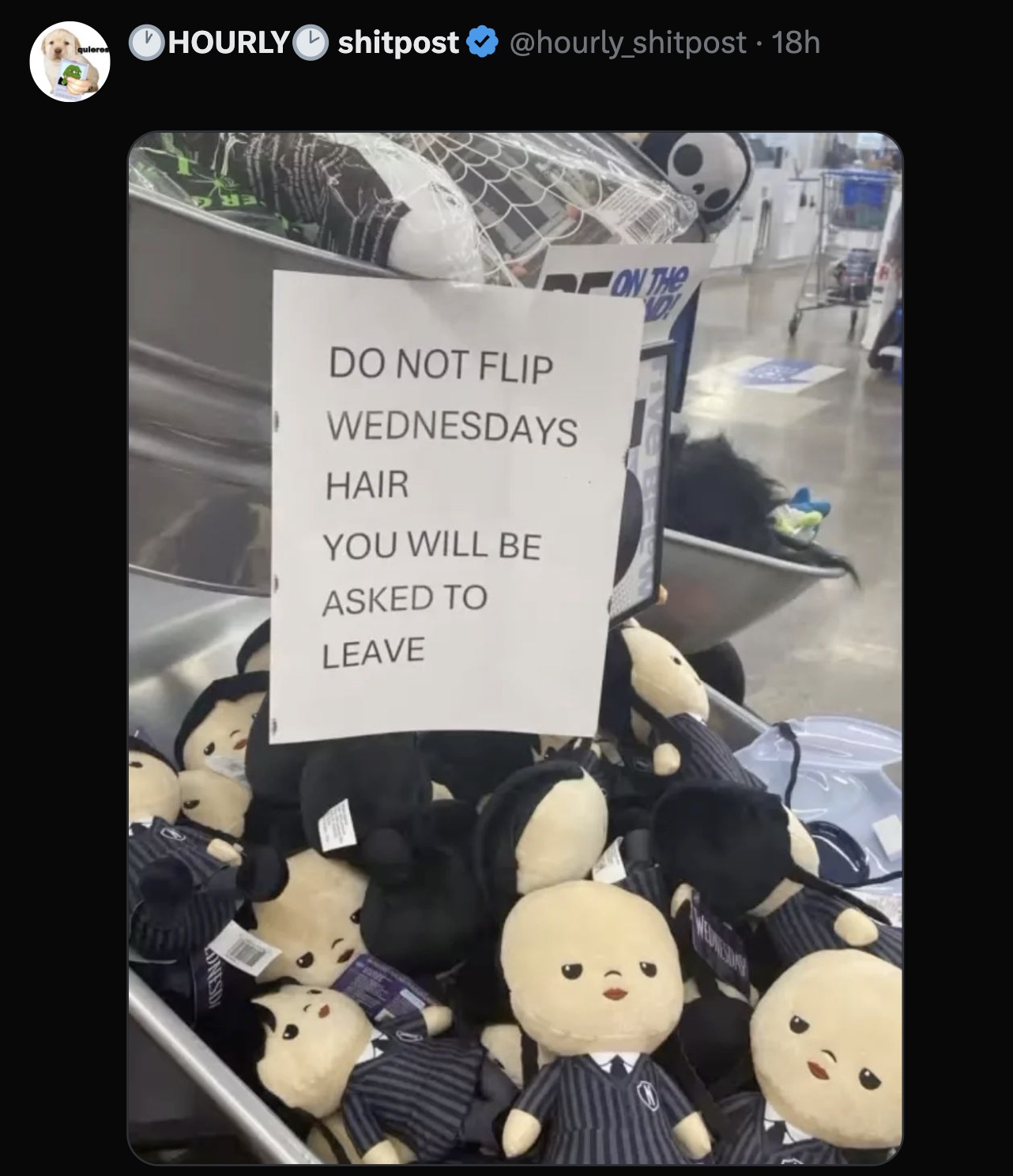 stuffed toy - quieres Hourly shitpost 18h Pon The Nd! Do Not Flip Wednesdays Hair You Will Be Asked To Leave Nesd Wednesday