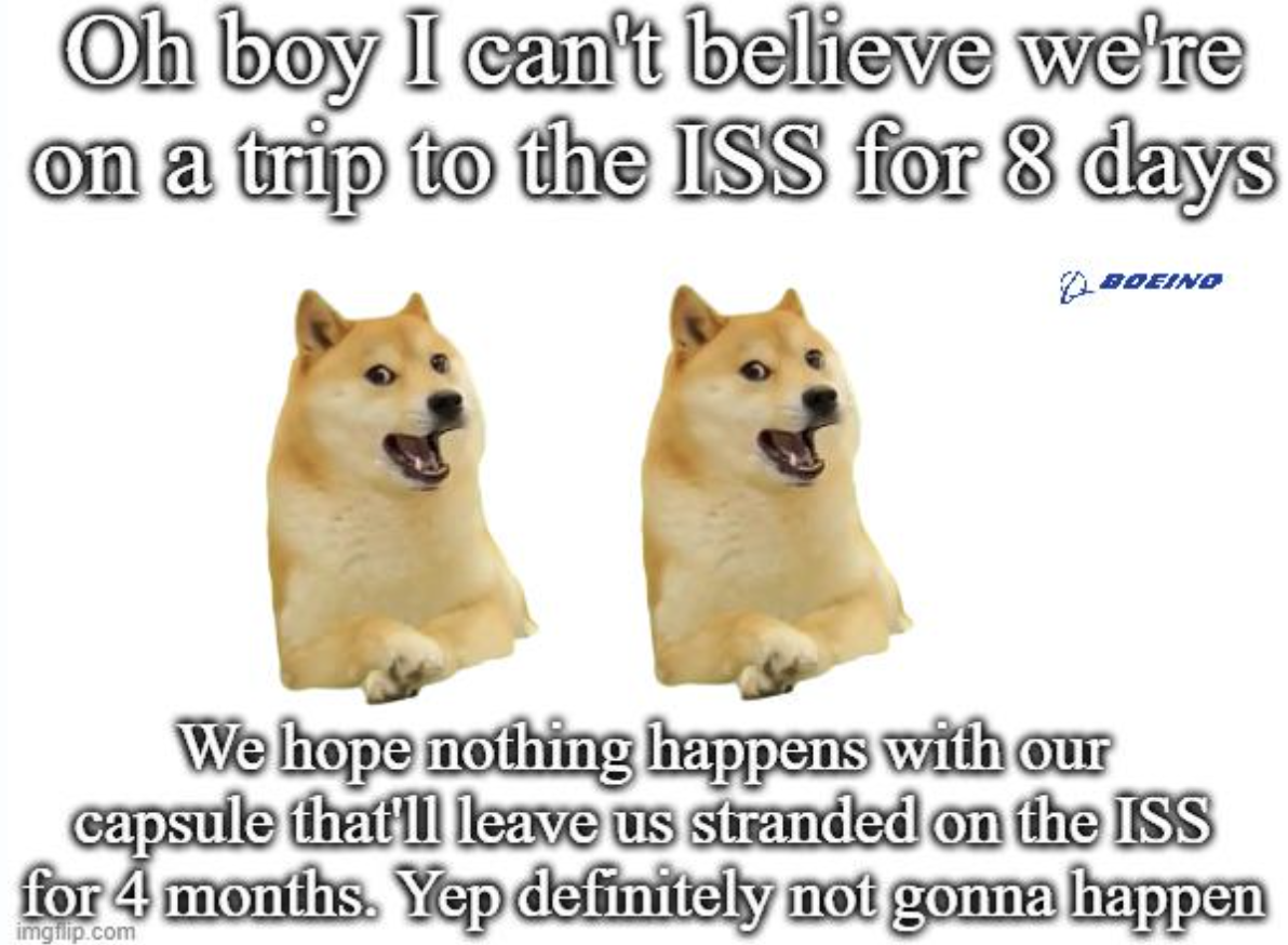 companion dog - Oh boy I can't believe we're on a trip to the Iss for 8 days Boeing We hope nothing happens with our capsule that'll leave us stranded on the Iss for 4 months. Yep definitely not gonna happen imgulp.com