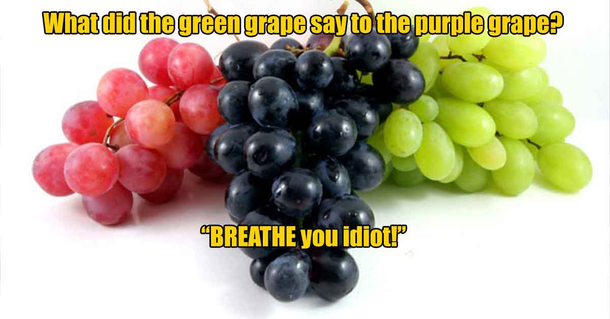 black grapes vs red grapes - What did the green grape say to the purple grape? "Breathe you idiot!'