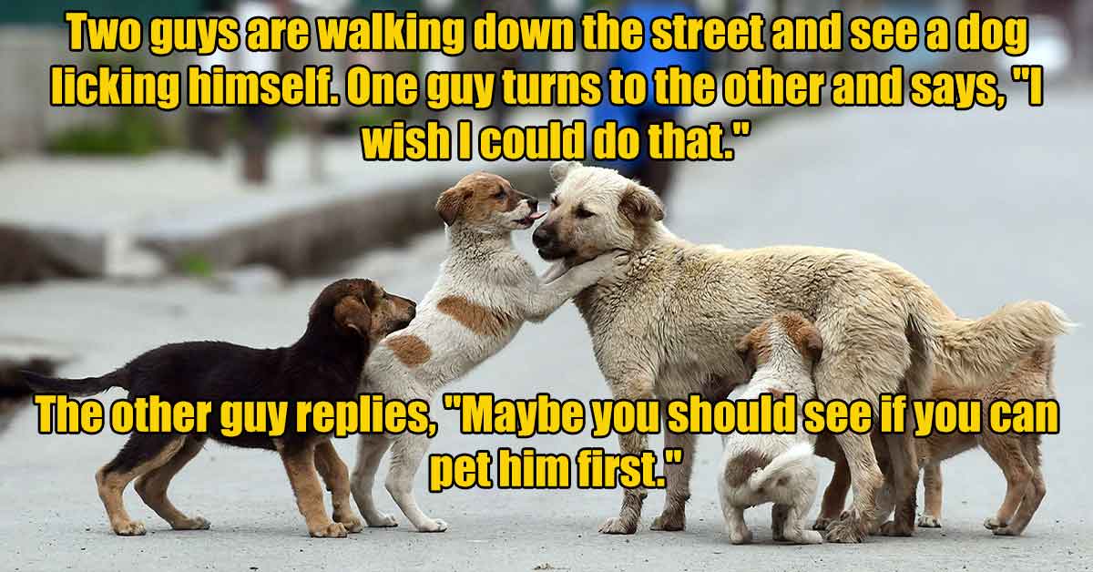 Two guys are walking down the street and see a dog licking himself. One guy turns to the other and says, "1 wish I could do that." The other guy replies, "Maybe you should see if you can pet him first."