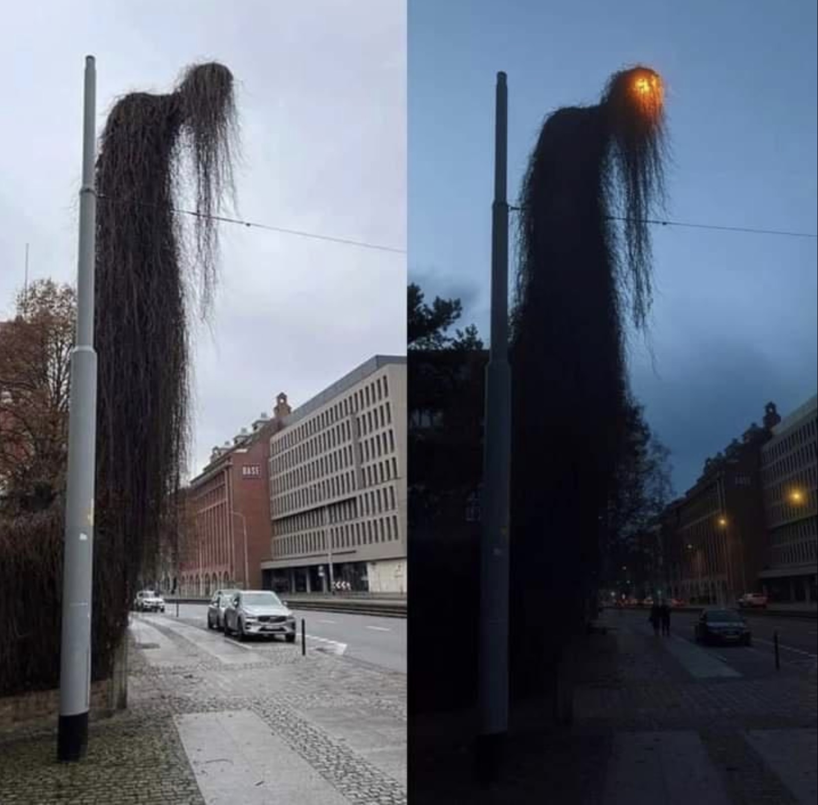 overgrown lamp post in poland - 40 1411