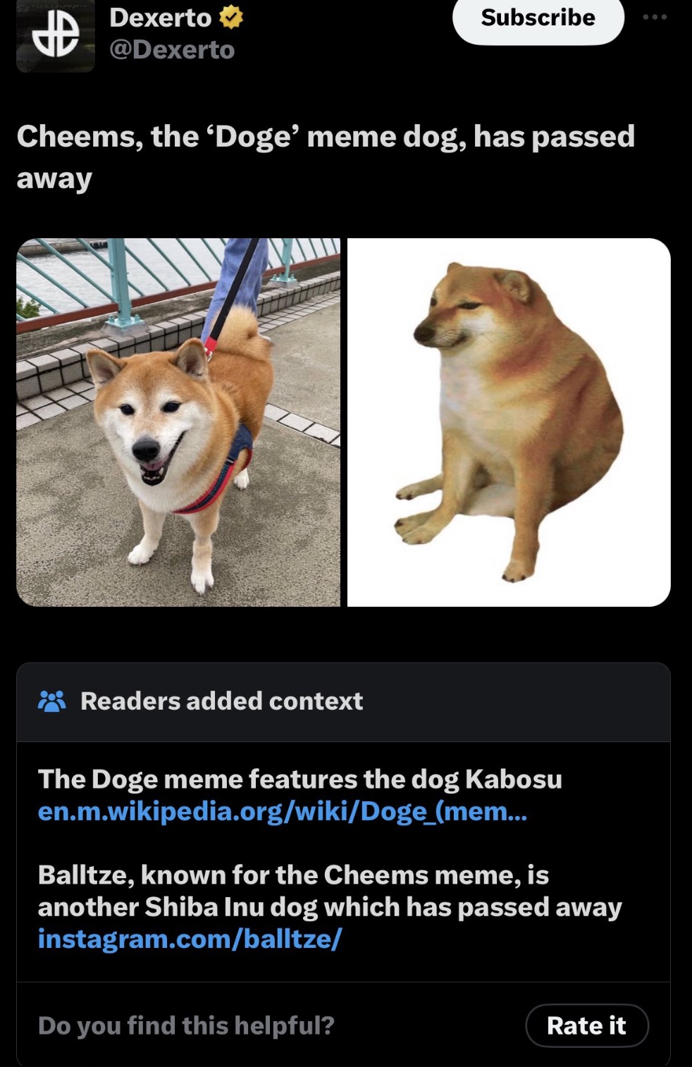 Meme - Dexerto Subscribe Cheems, the Doge' meme dog, has passed away Readers added context The Doge meme features the dog Kabosu en.m.wikipedia.orgwikiDoge_mem... Balltze, known for the Cheems meme, is another Shiba Inu dog which has passed away…