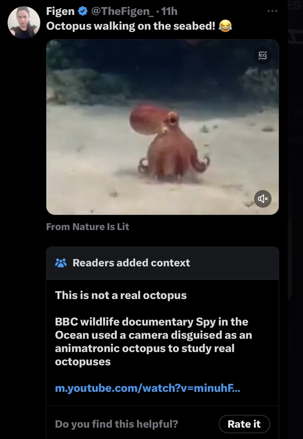 screenshot - Figen .11h Octopus walking on the seabed! From Nature Is Lit Readers added context Es 33 tyN This is not a real octopus Bbc wildlife documentary Spy in the Ocean used a camera disguised as an animatronic octopus to study real octopuses…