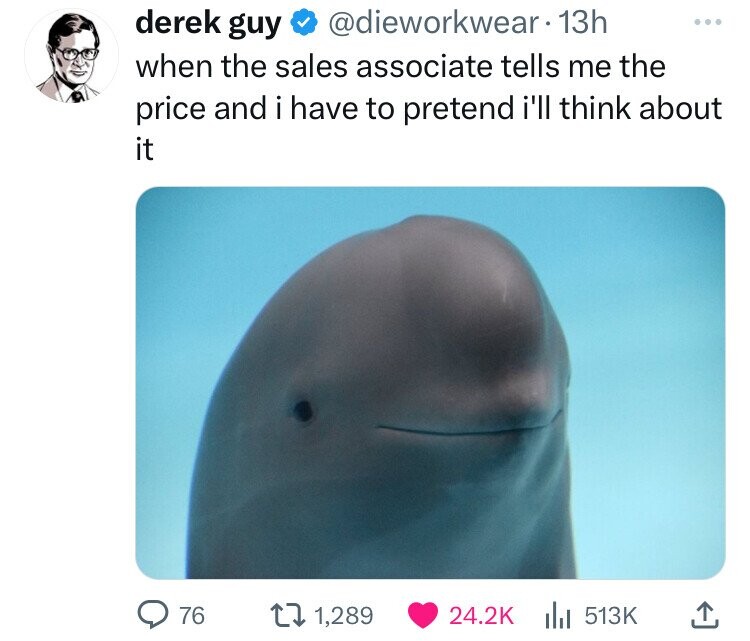 beluga whale - derek guy . 13h when the sales associate tells me the price and i have to pretend i'll think about it 76 11,289