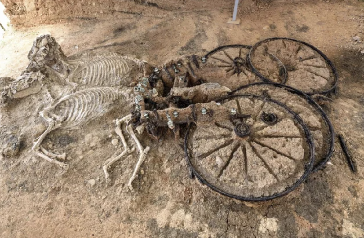 thracian chariot with horse skeletons