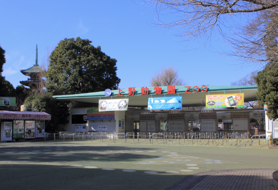 “Ueno Zoo in Tokyo. There was a lone polar bear pacing back and forth in some small dull pen. It looked so helpless.”