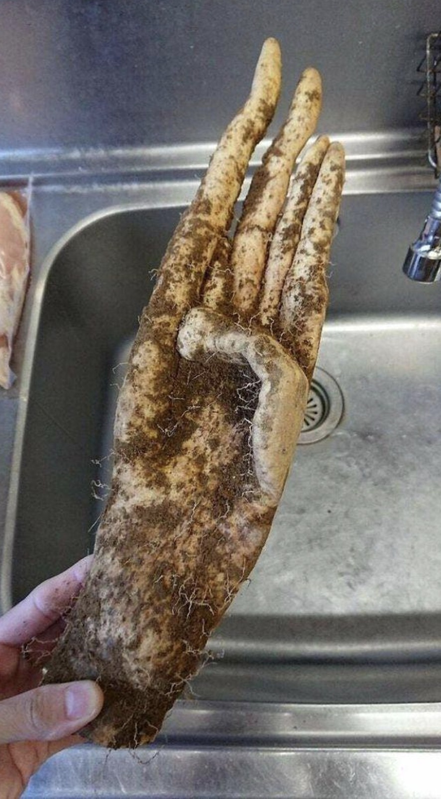 sweet potato looks like hand