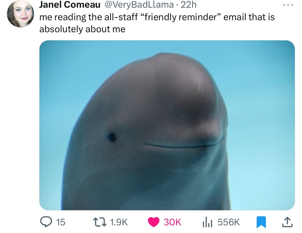 beluga whale - Janel Comeau BadLlama 22h me reading the allstaff "friendly reminder" email that is absolutely about me 15 30K Iii ...