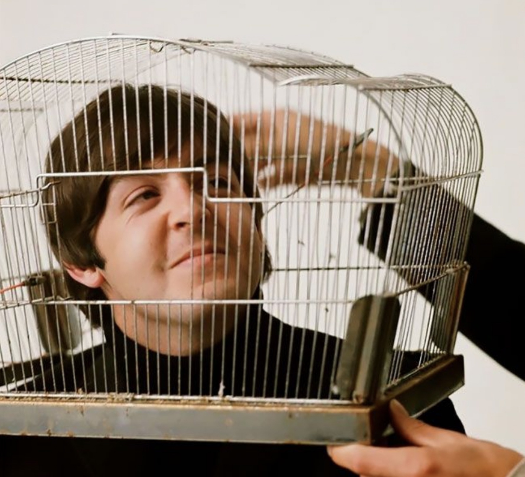 robert whitaker birdcage beatles