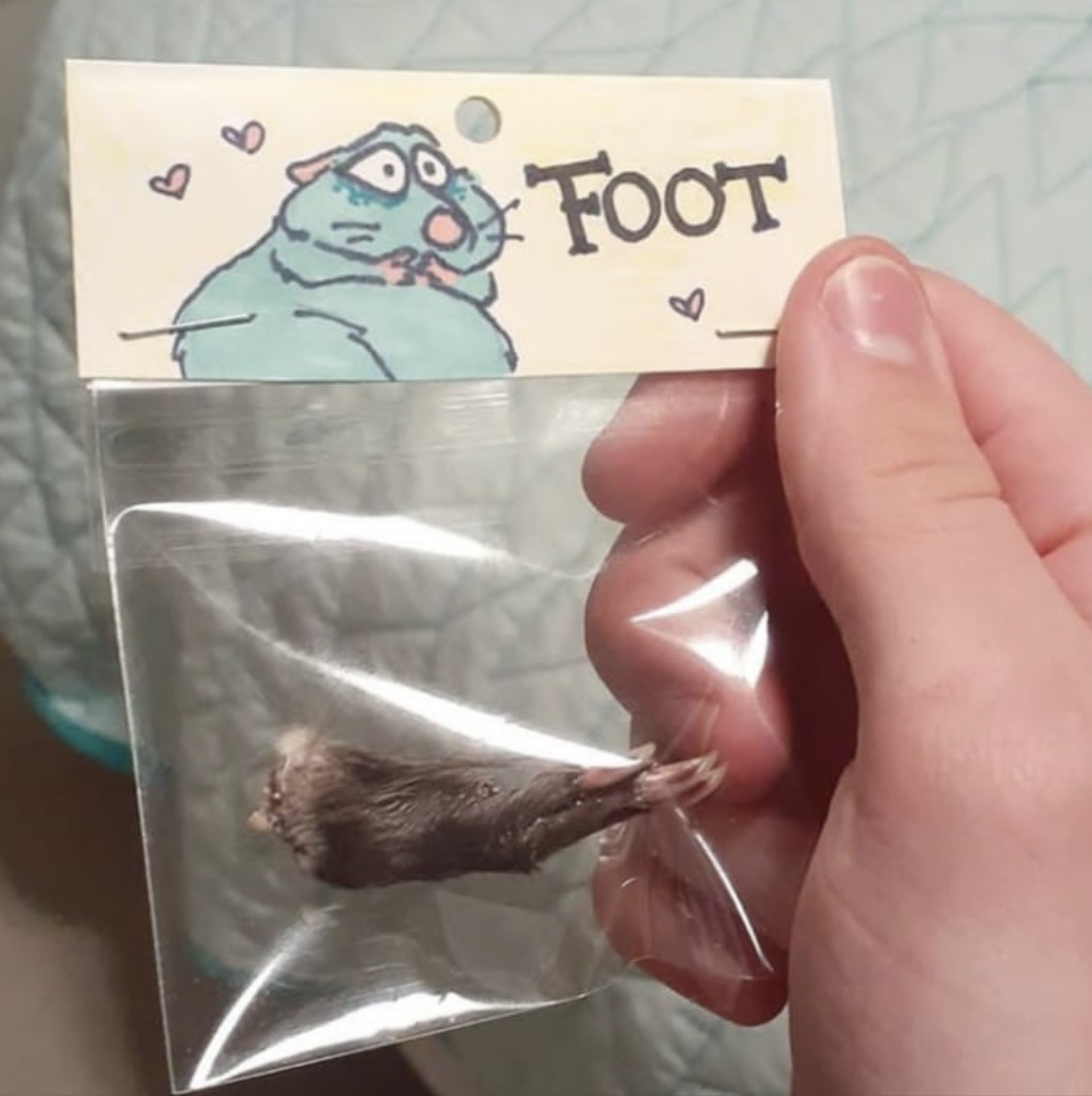 cartoon - Foot