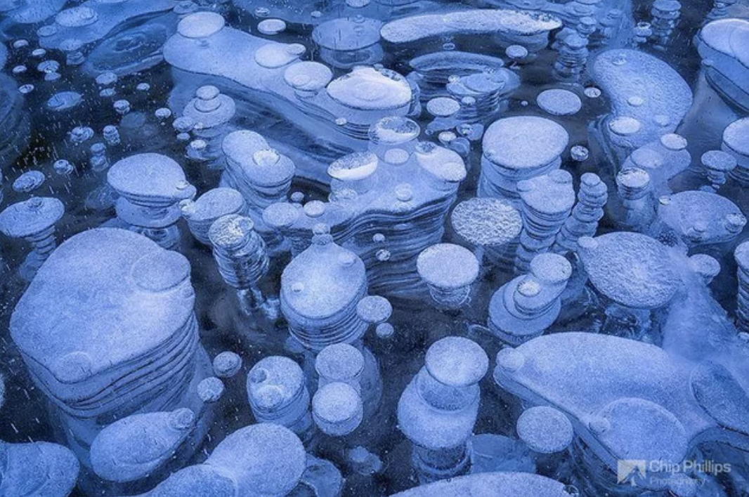 ice bubbles at abraham lake - Chip Phillips