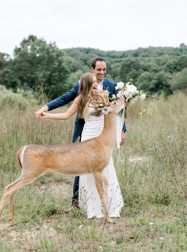 wedding deer