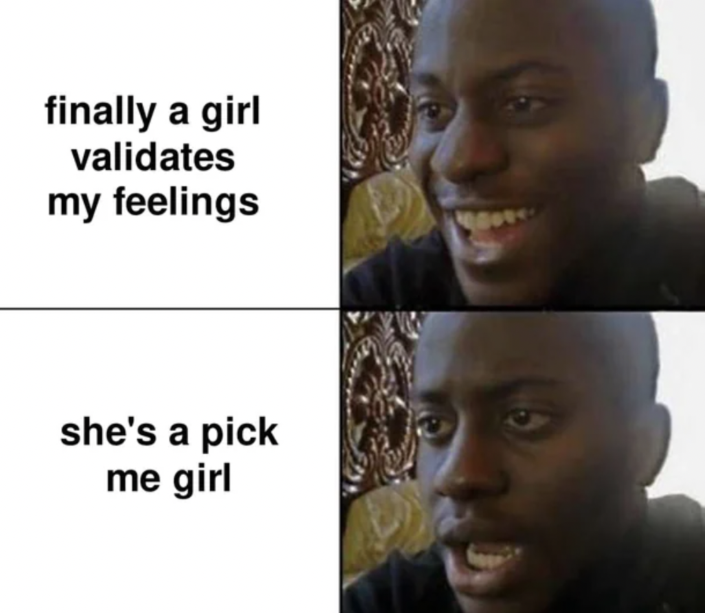 meme 2 - finally a girl validates my feelings she's a pick me girl