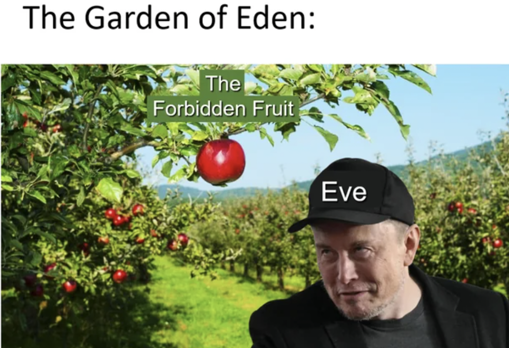 Apple - The Garden of Eden The Forbidden Fruit Eve