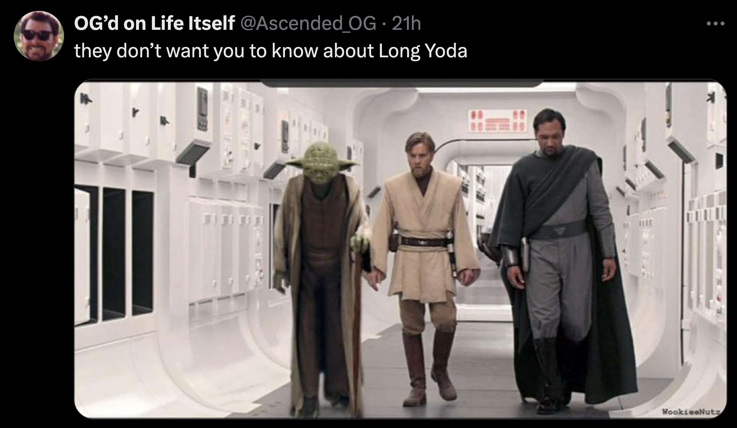 tall yoda meme - Og'd on Life Itself Og 21h they don't want you to know about Long Yoda B D