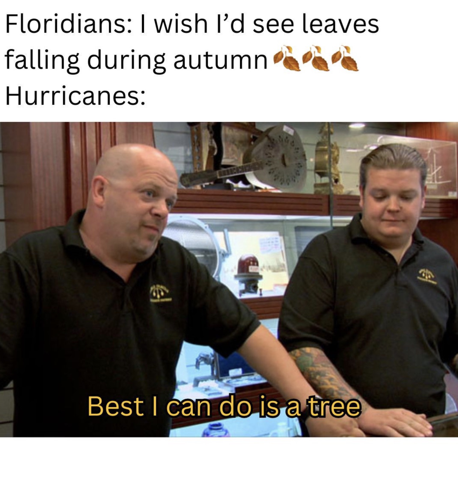 pawn stars meme template - Floridians I wish I'd see leaves falling during autumn Hurricanes P Best I can do is a tree