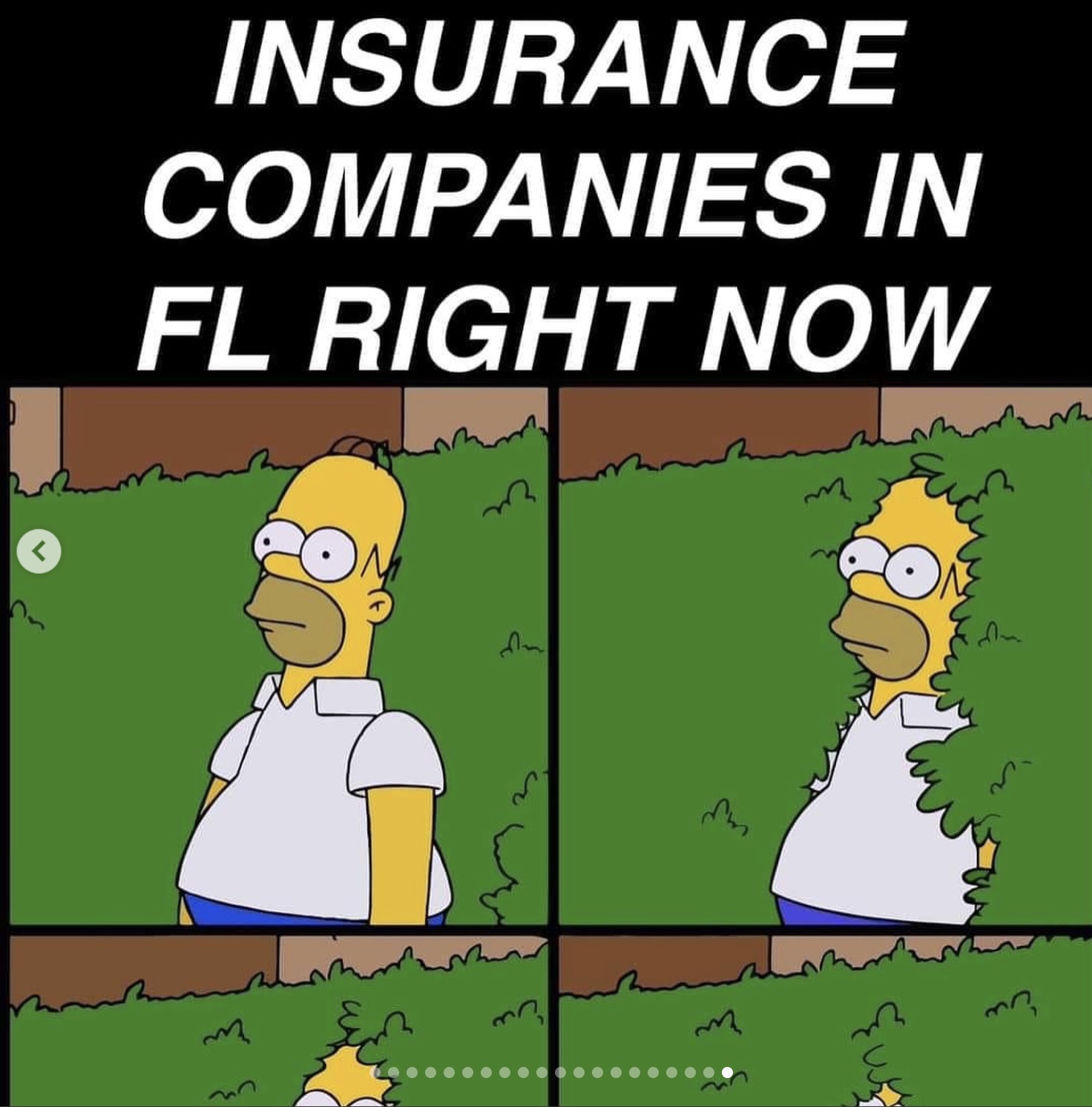 cartoon - D Insurance Companies In Fl Right Now > m 27 fm Ew m