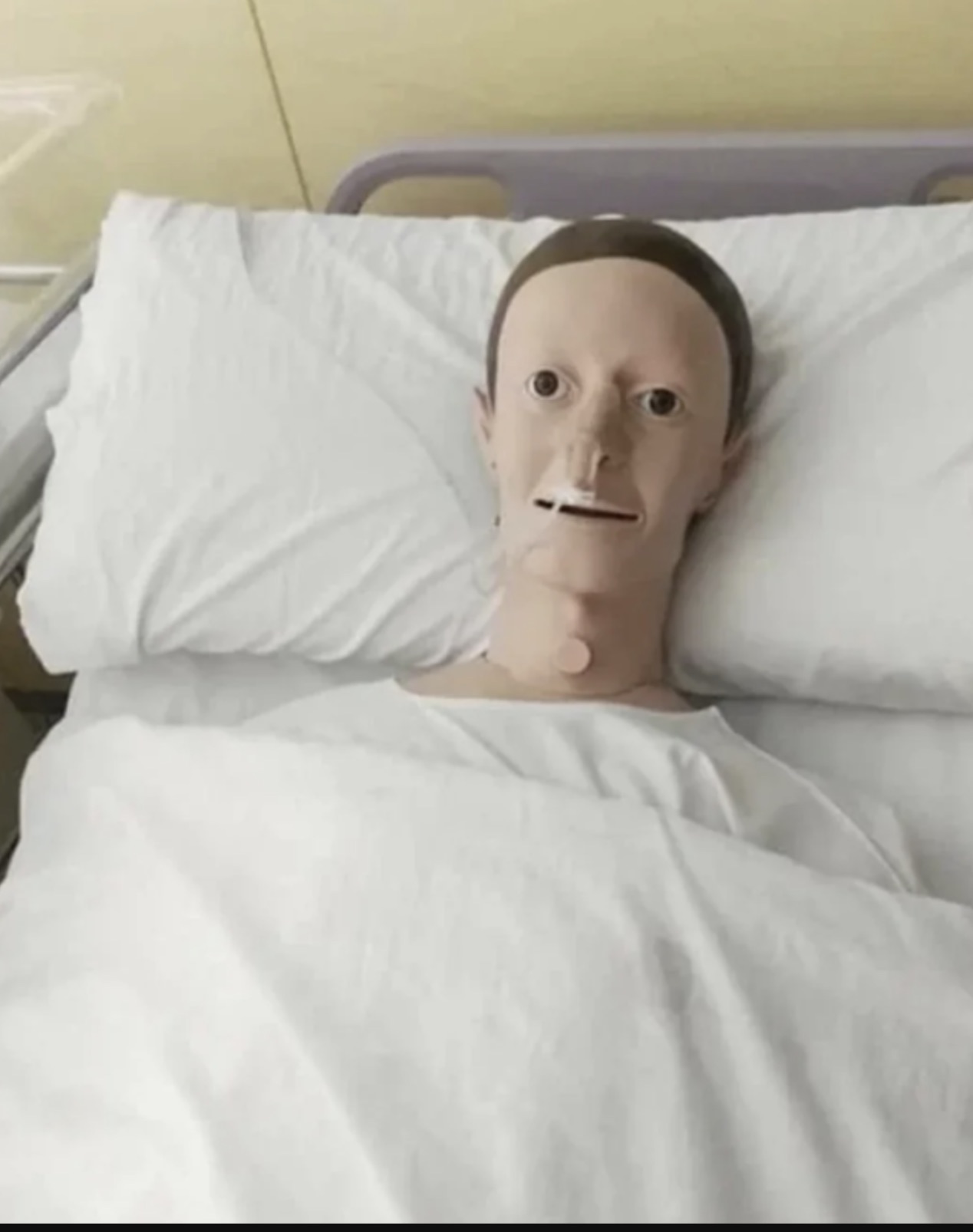 mark zuckerberg in critical condition