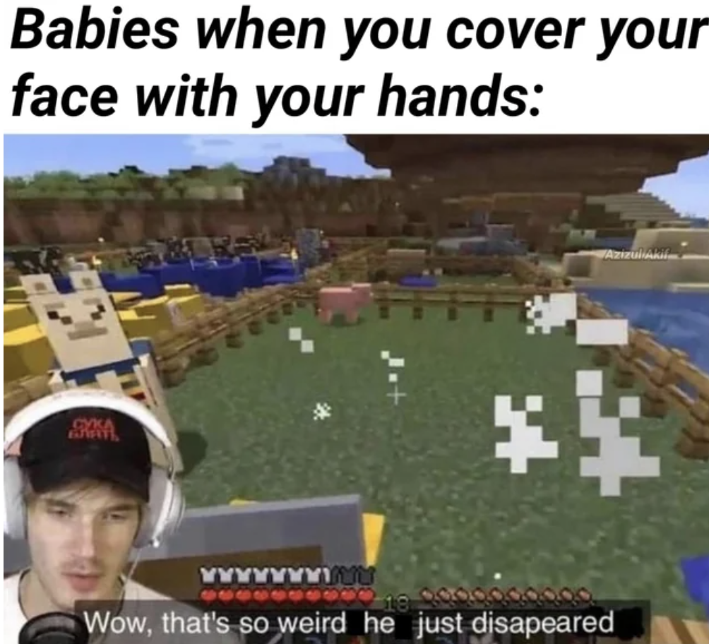 Meme - Babies when you cover your face with your hands A www 18 Wow, that's so weird he just disapeared