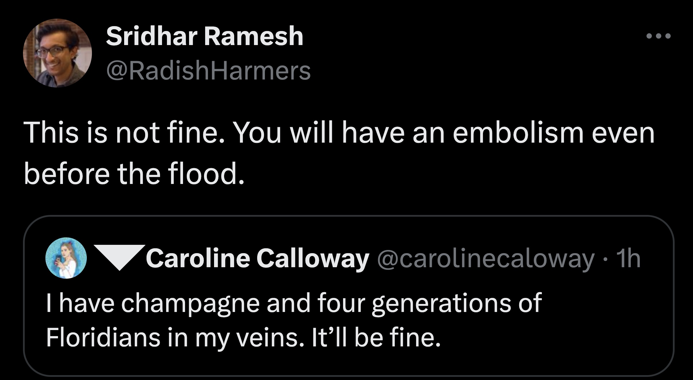 screenshot - Sridhar Ramesh This is not fine. You will have an embolism even before the flood. Caroline Calloway 1h I have champagne and four generations of Floridians in my veins. It'll be fine.