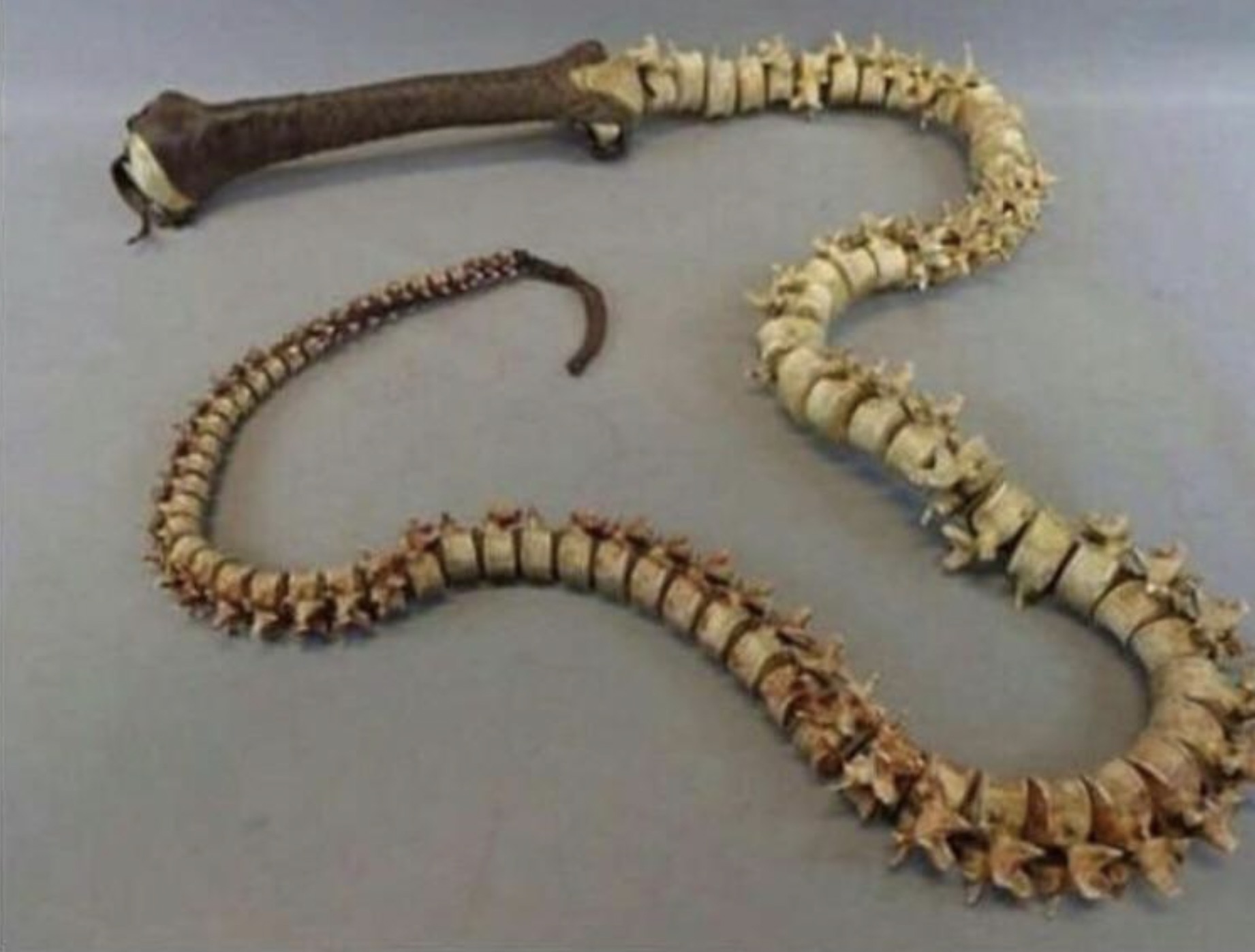 37 Cursed Randoms to Iron Out Your Brain