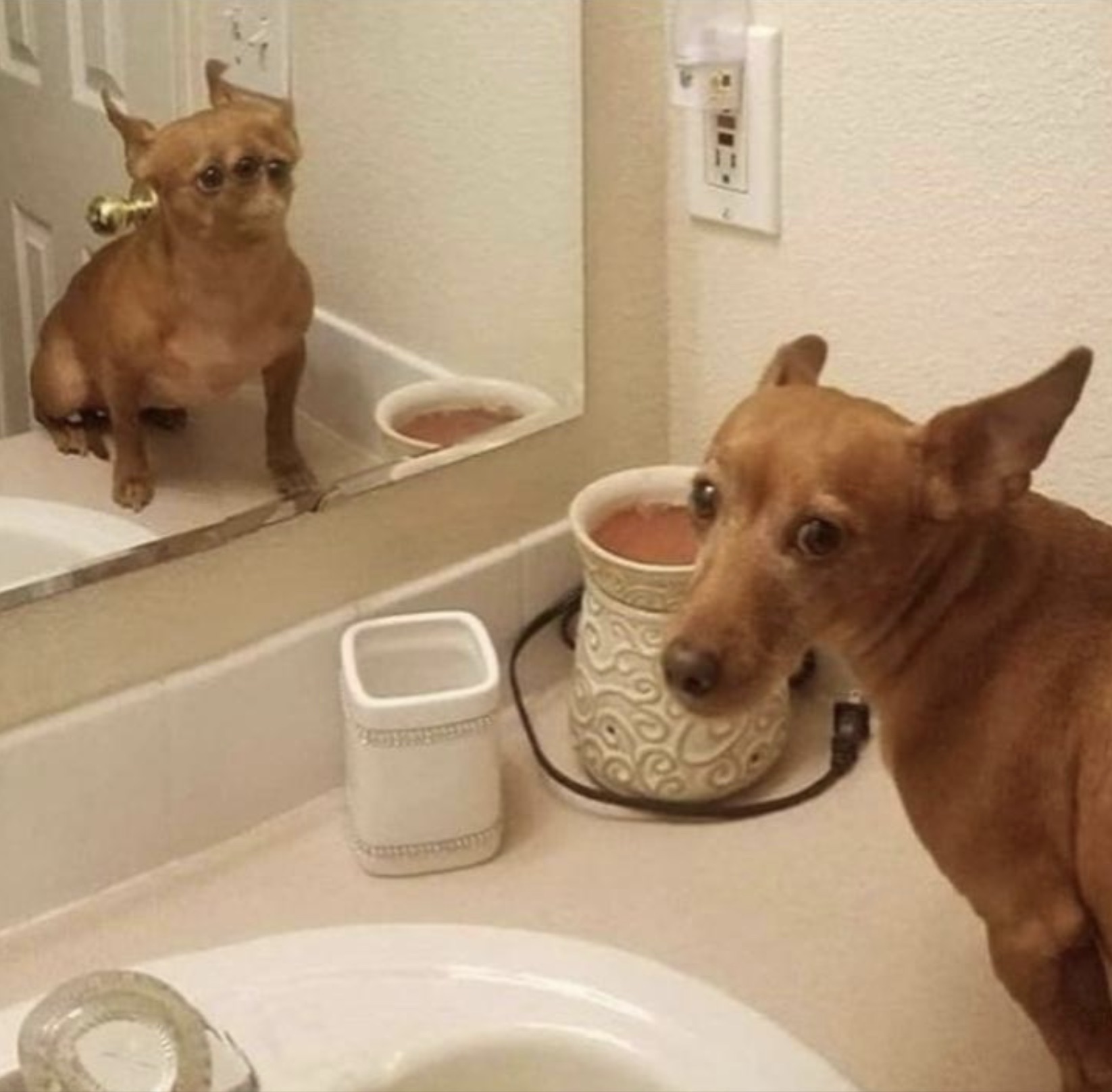 37 Cursed Randoms to Iron Out Your Brain