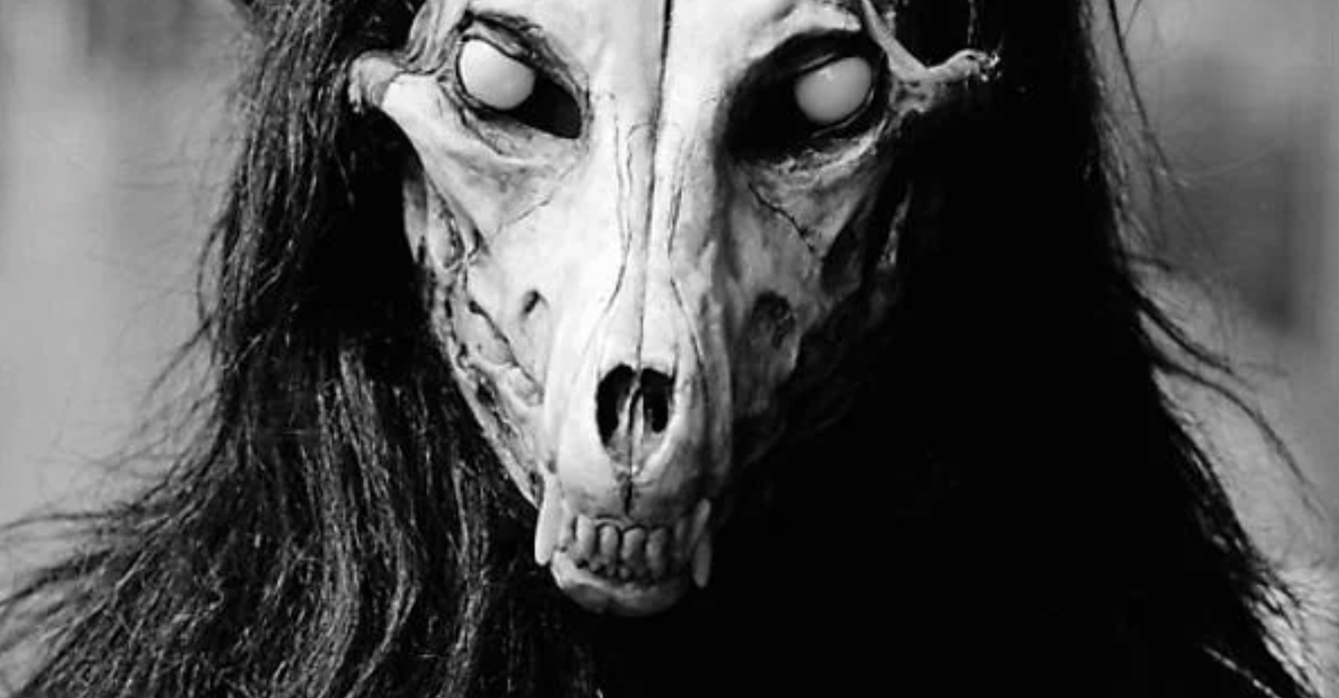 37 Cursed Randoms to Iron Out Your Brain