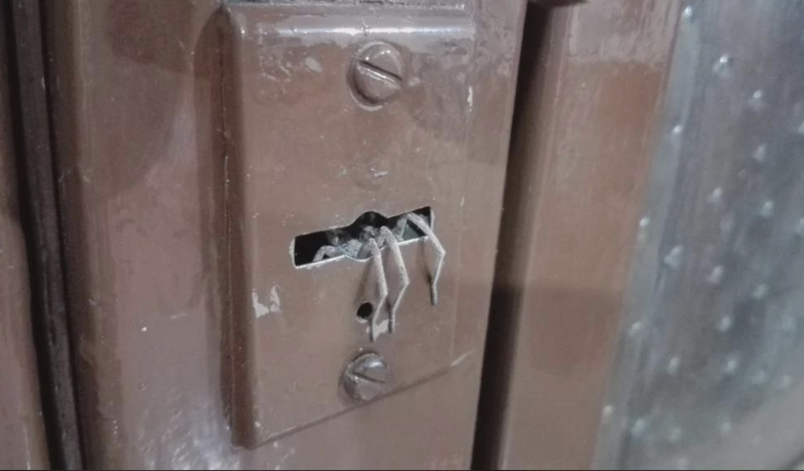 37 Cursed Randoms to Iron Out Your Brain