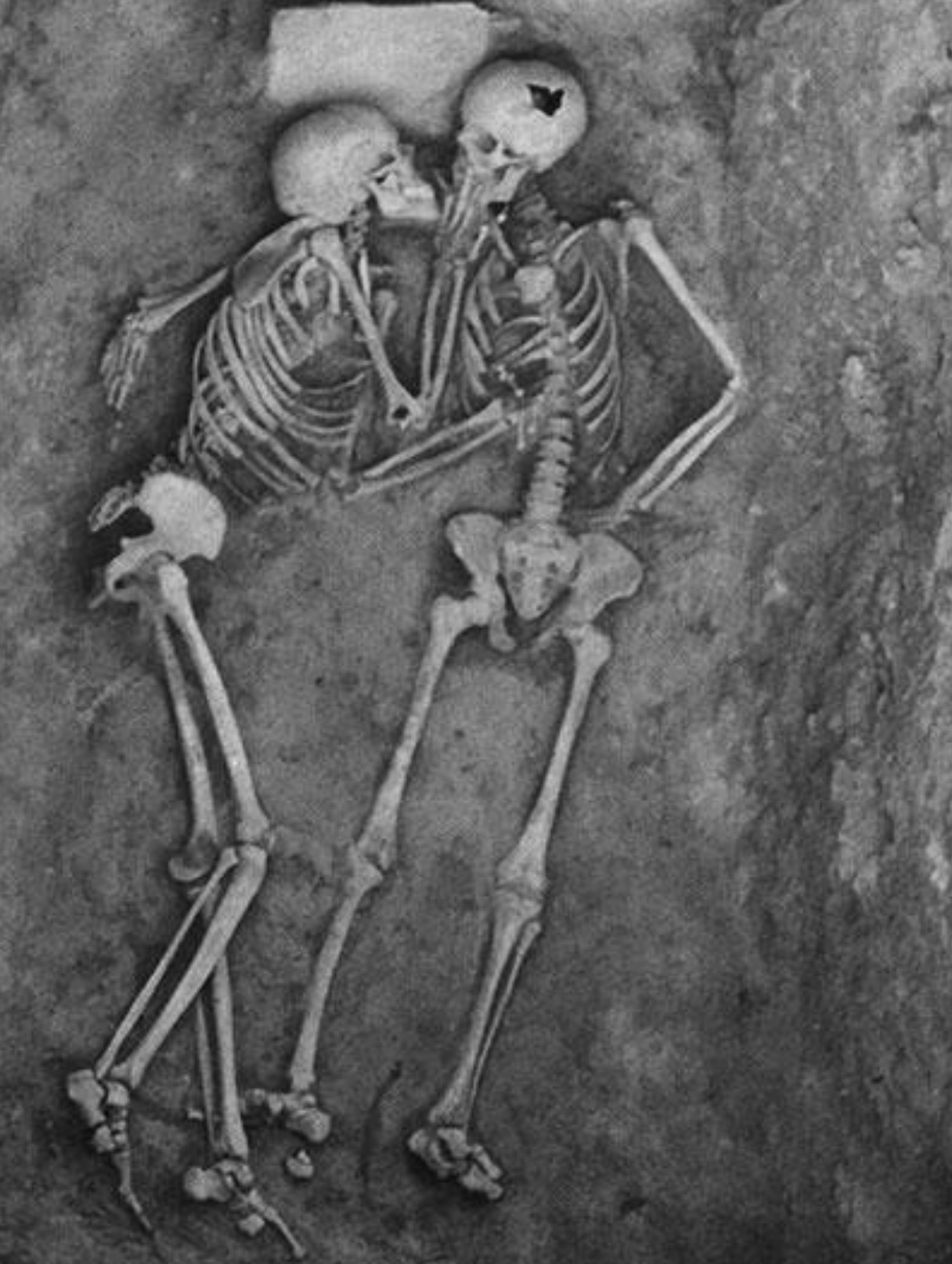 37 Cursed Randoms to Iron Out Your Brain