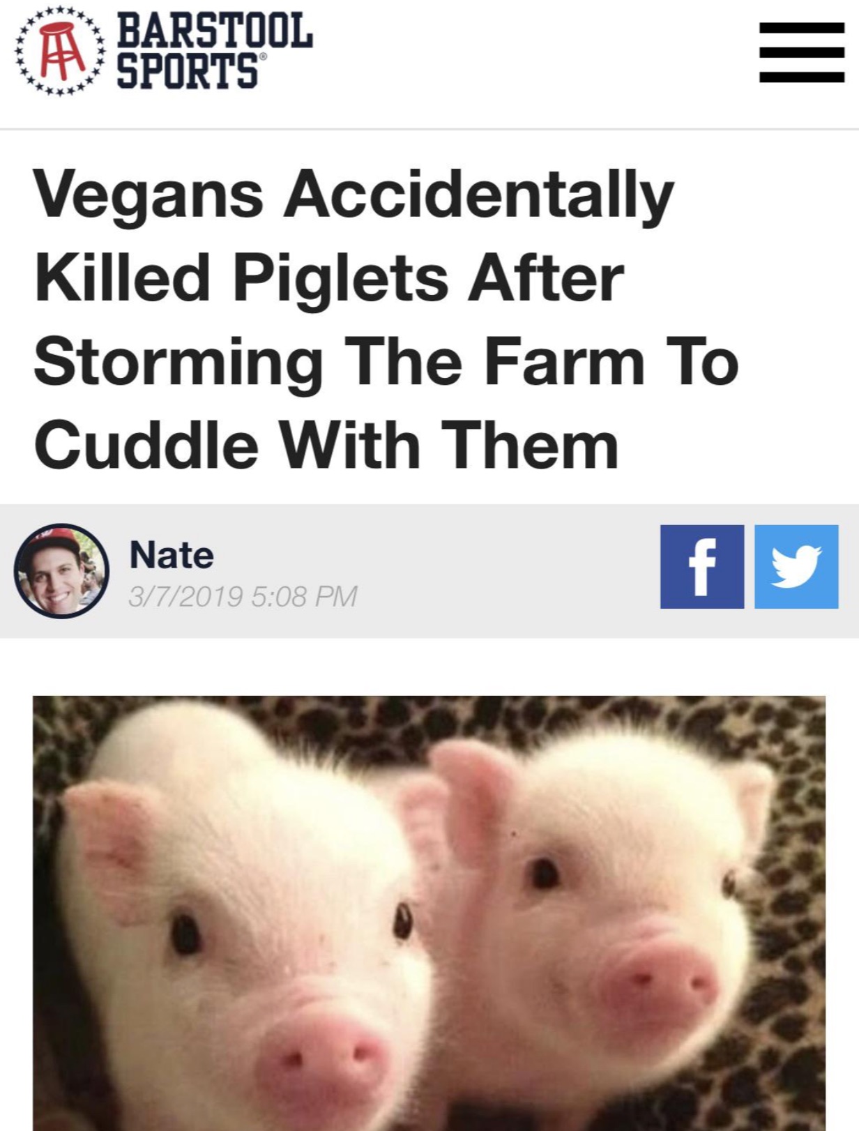 2 piglets - A Barstool Sports Vegans Accidentally Killed Piglets After Storming The Farm To Cuddle With Them Nate 372019 fy