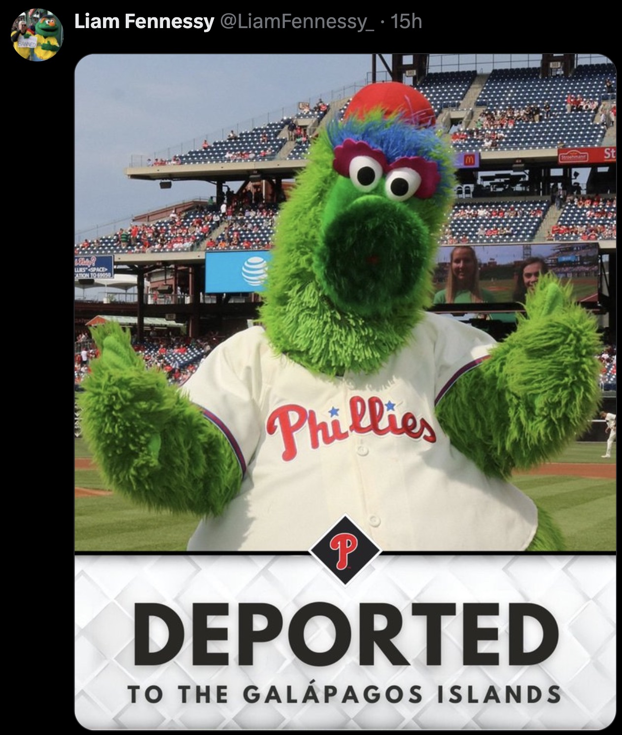 phillie phanatic portrait - Banned Liam Fennessy Fennessy_ 15h Llies Space Ation To 69050 M an Phillies P Deported To The Galpagos Islands Streetmand St