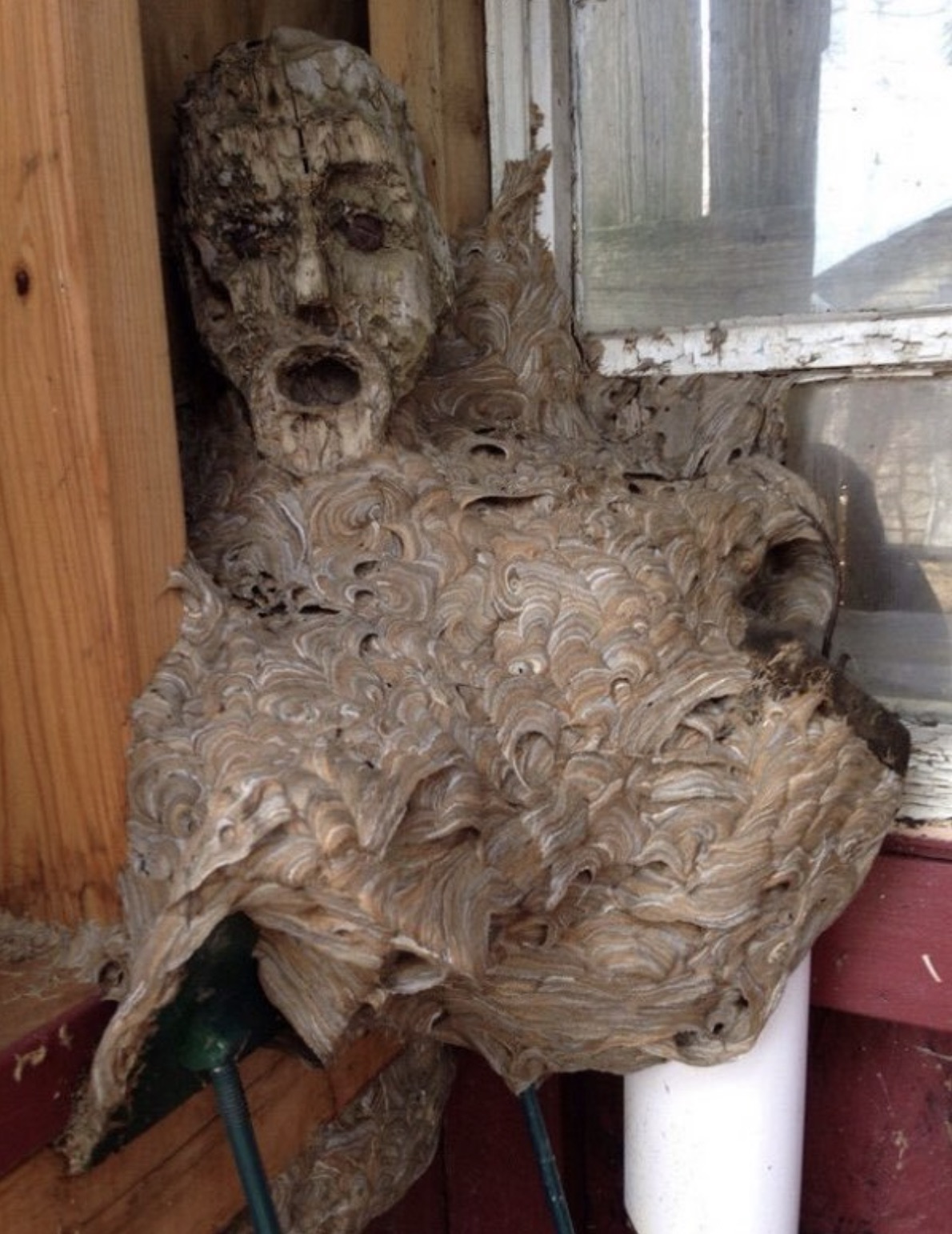 hornets nest mask