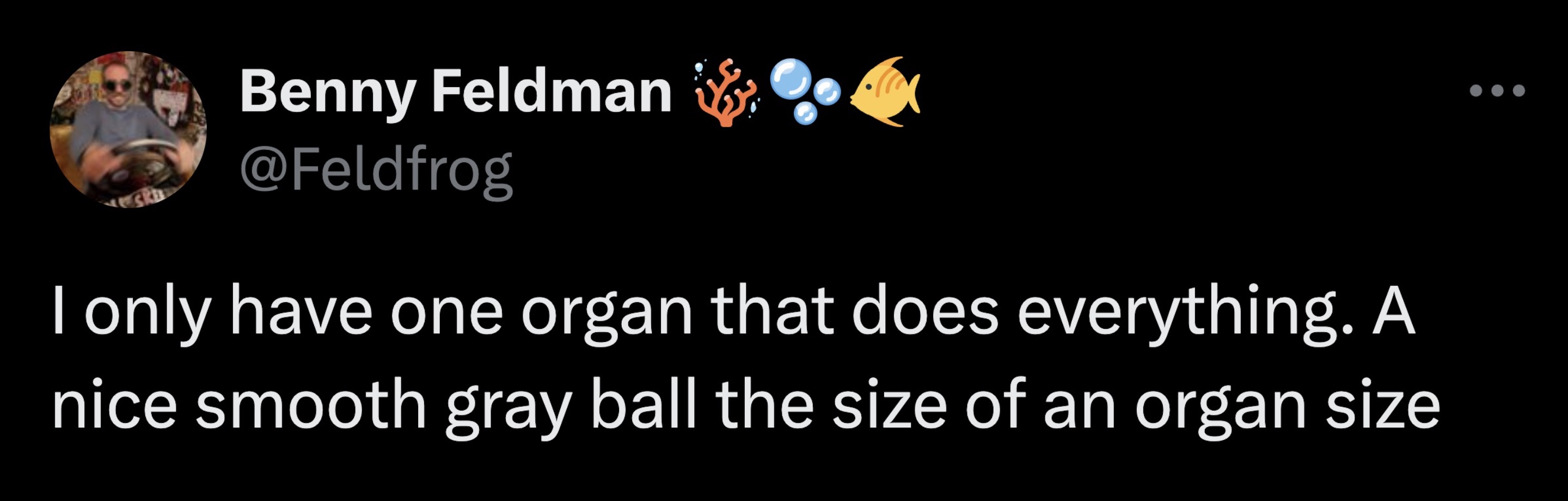 screenshot - Skb Benny Feldman I only have one organ that does everything. A nice smooth gray ball the size of an organ size