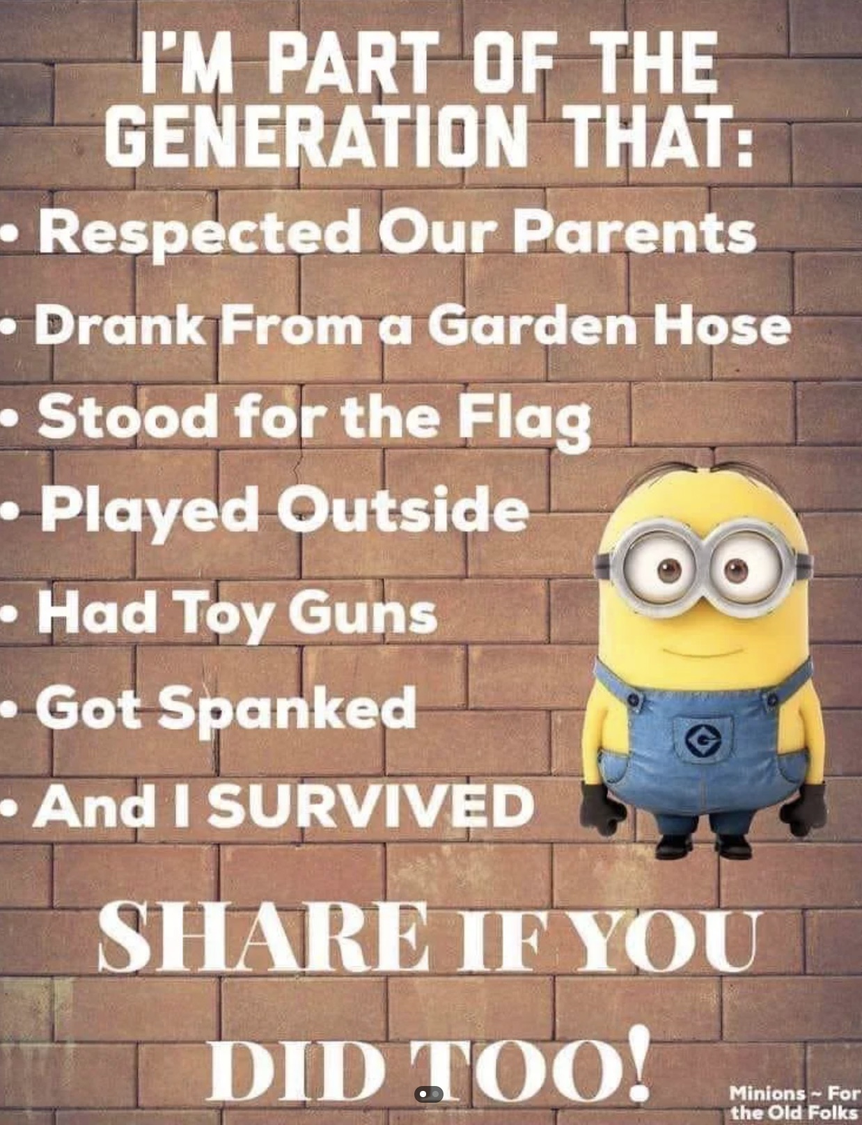 boomer minion meme - I'M Part Of The Generation That Respected Our Parents Drank From a Garden Hose Stood for the Flag Played Outside Had Toy Guns Got Spanked And I Survived If You Did Too! MinionsFor the Old Folks