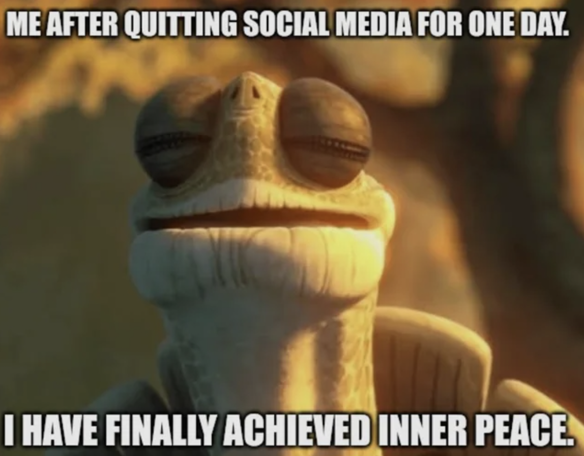 toad - Me After Quitting Social Media For One Day. I Have Finally Achieved Inner Peace