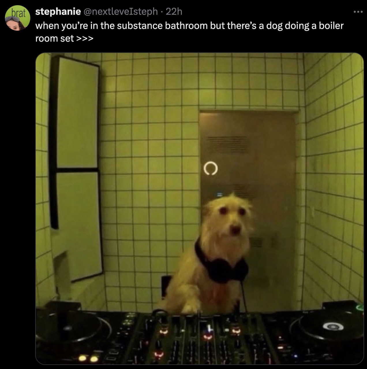 dj dog meme - brat stephanie when you're in the substance bathroom but there's a dog doing a boiler room set >>> C