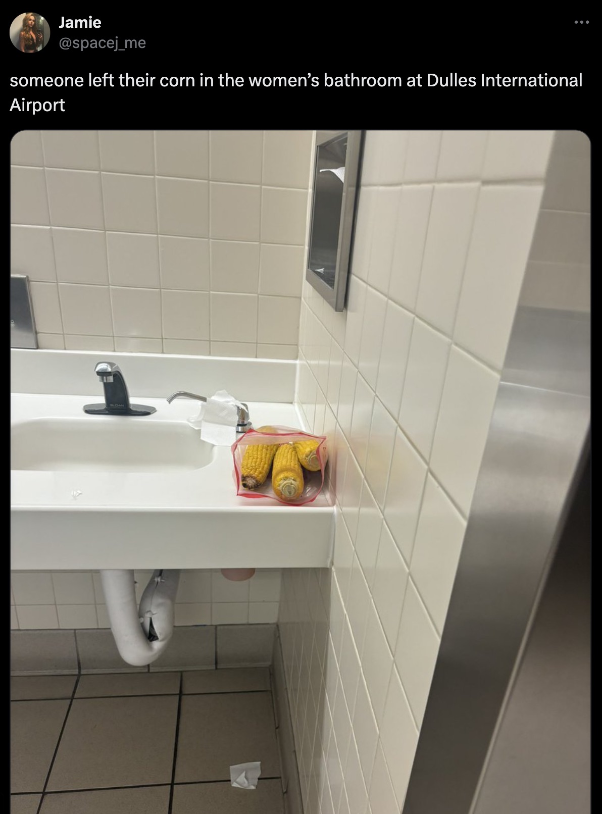 tile - Jamie someone left their corn in the women's bathroom at Dulles International Airport