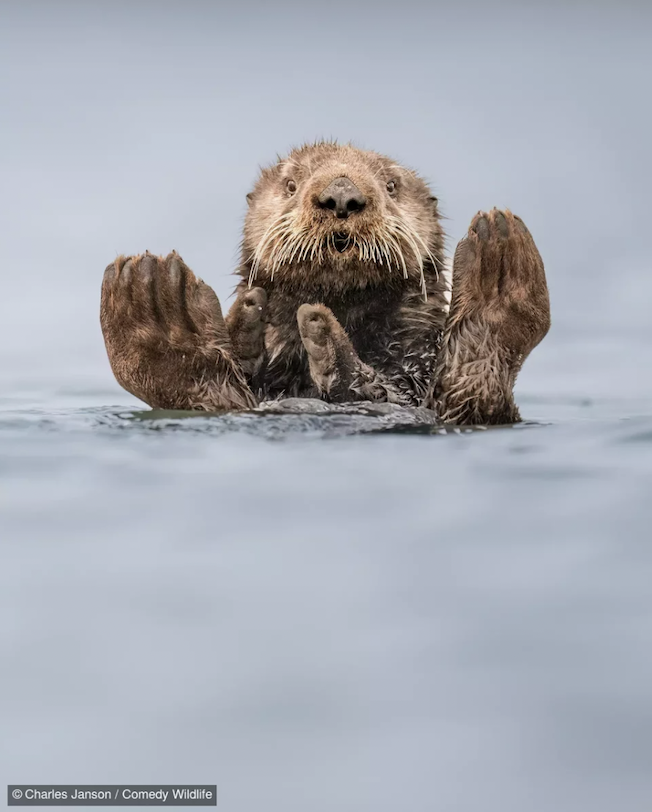 Charles Janson with “Otter Guru.”