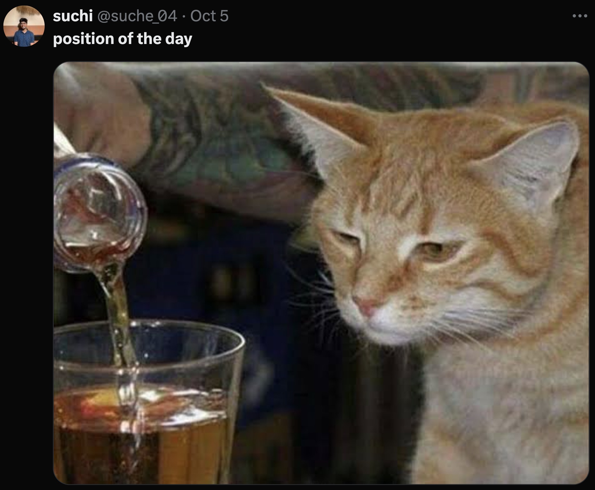 sad cat drinking meme