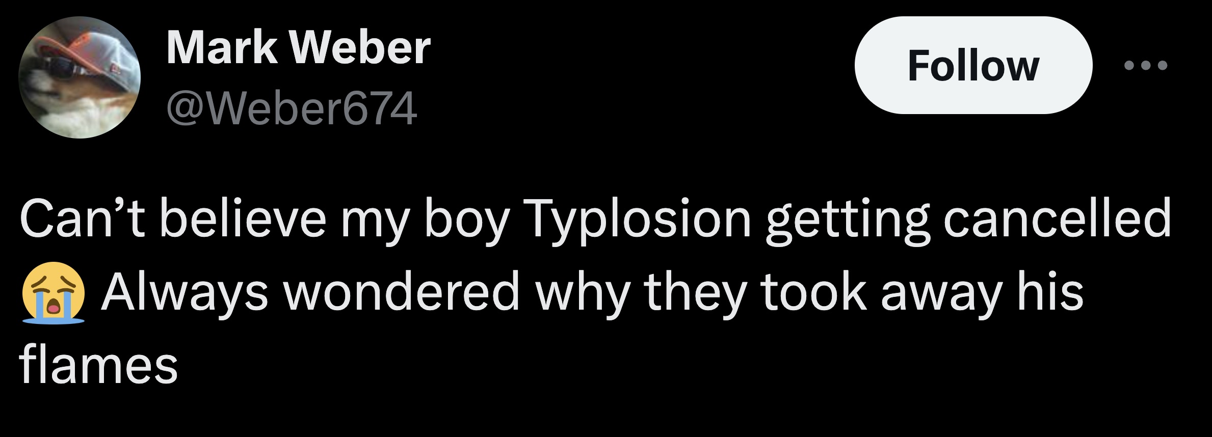 planet - Mark Weber Can't believe my boy Typlosion getting cancelled Always wondered why they took away his flames