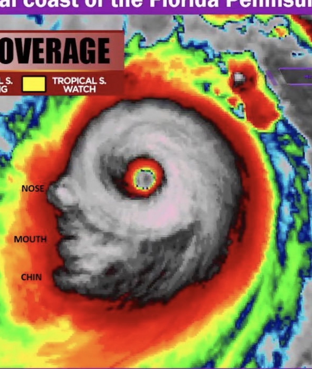 Tornado - Overage Ls. G Tropical S. Watch Nose Mouth Chin