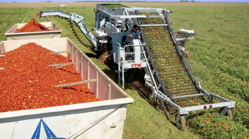 tomato harvester - Ctm