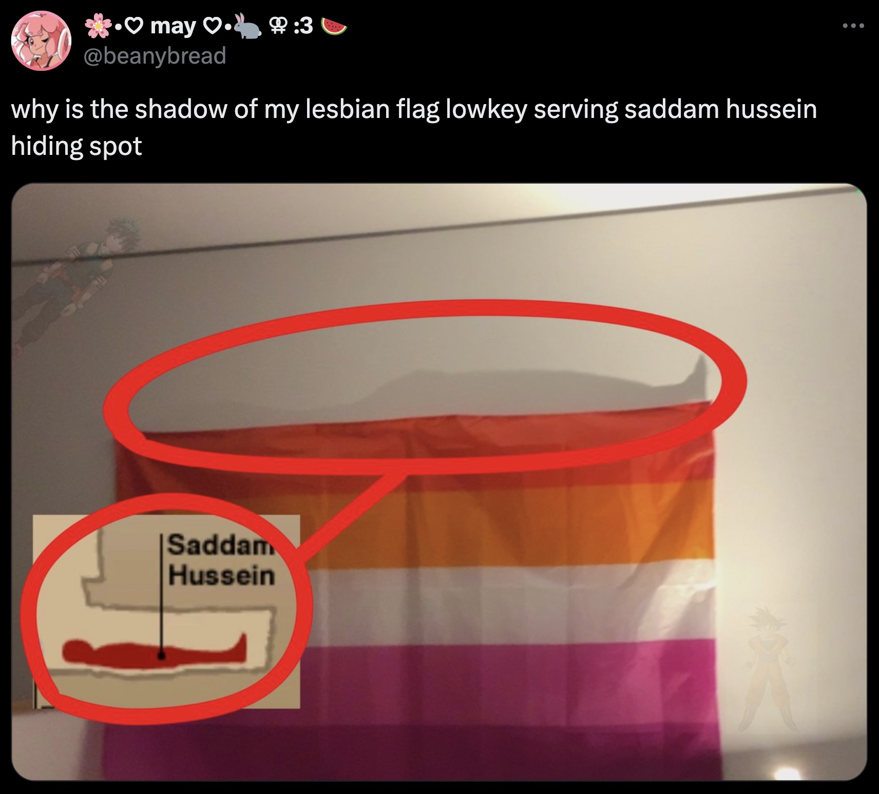 circle - may . why is the shadow of my lesbian flag lowkey serving saddam hussein hiding spot Saddam Hussein